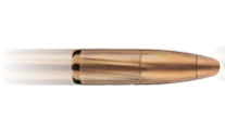 Le Petit Calibre Armurerie Forbach Bullet