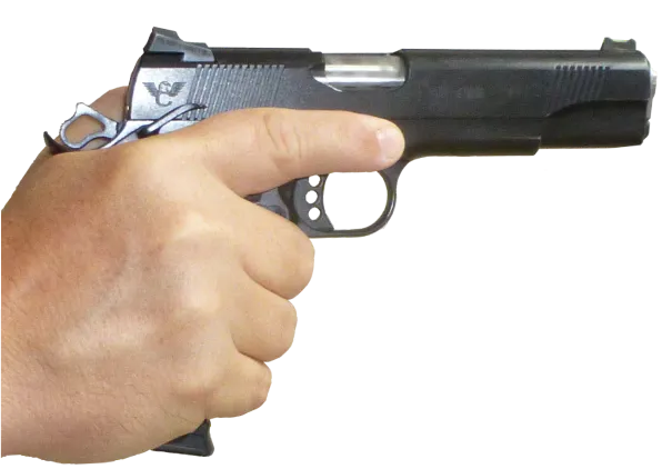 Le Petit Calibre Armurerie Forbach Gun 1